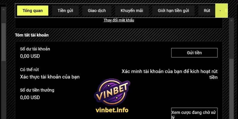 Vinbet hỗ trợ thanh toán đa dạng với nhiều phương thức hiện đại